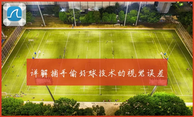 详解捕手偷好球技术的视觉误差