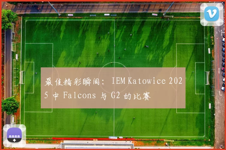 最佳精彩瞬间：IEM Katowice 2025 中 Falcons 与 G2 的比赛