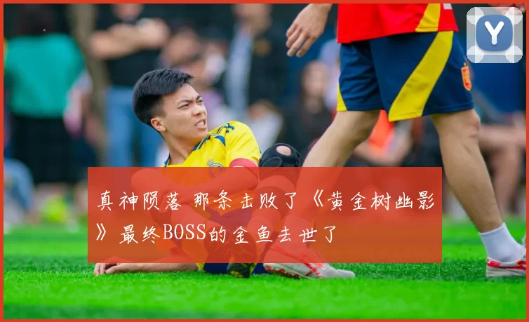 真神陨落 那条击败了《黄金树幽影》最终BOSS的金鱼去世了