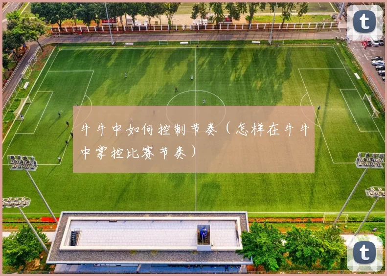 牛牛中如何控制节奏（怎样在牛牛中掌控比赛节奏）
