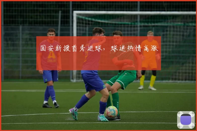 国安新援首秀进球，球迷热情高涨