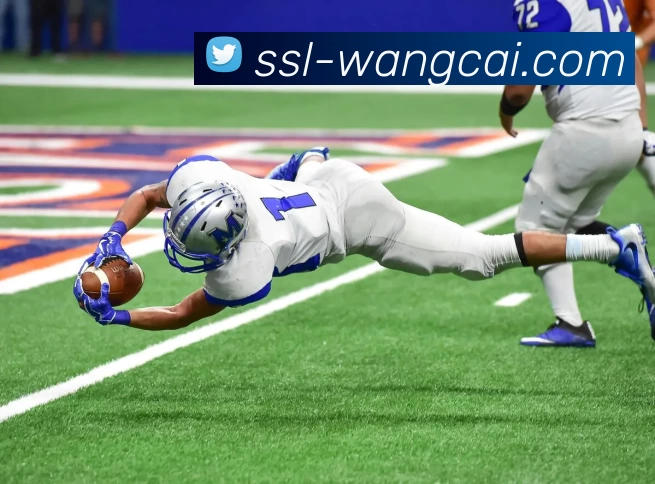 旺财28品牌故事